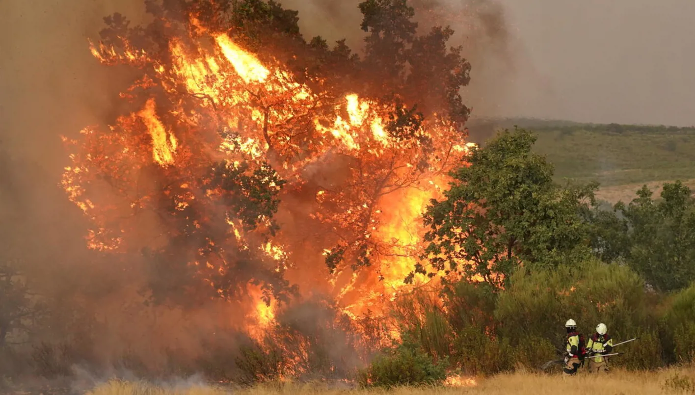 Wildfires in Southern Spain Force Evacuation of 470 People
