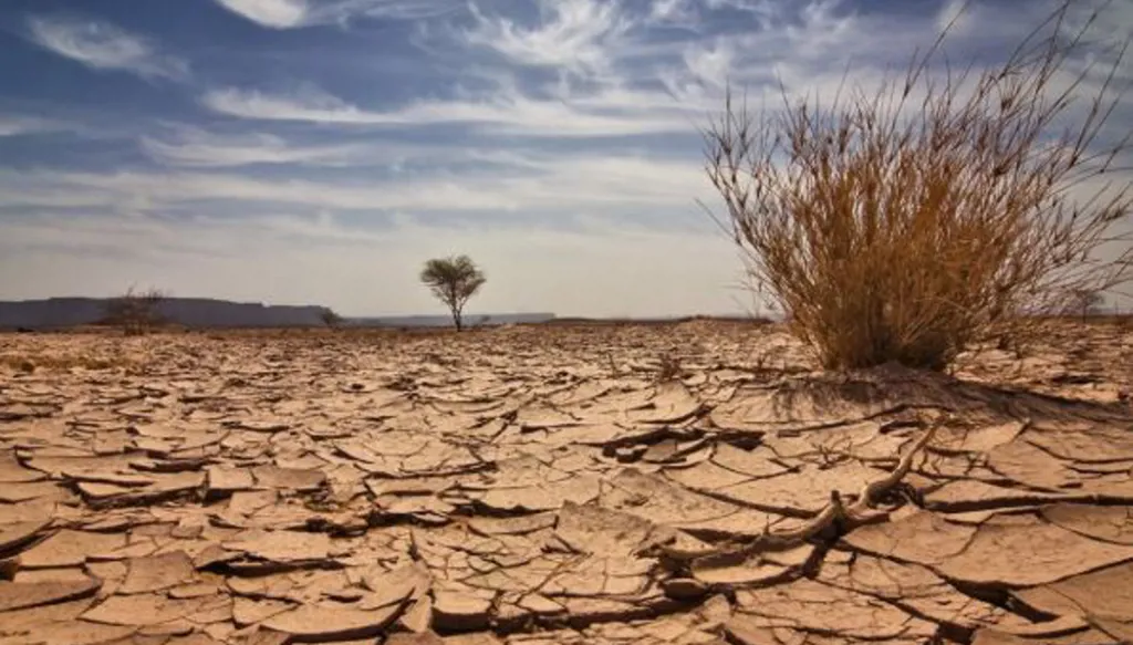 الأمم المتحدة: احتمالات أن يتخطى معدل الاحترار 1.5% بحلول 2029 تبلغ 70%