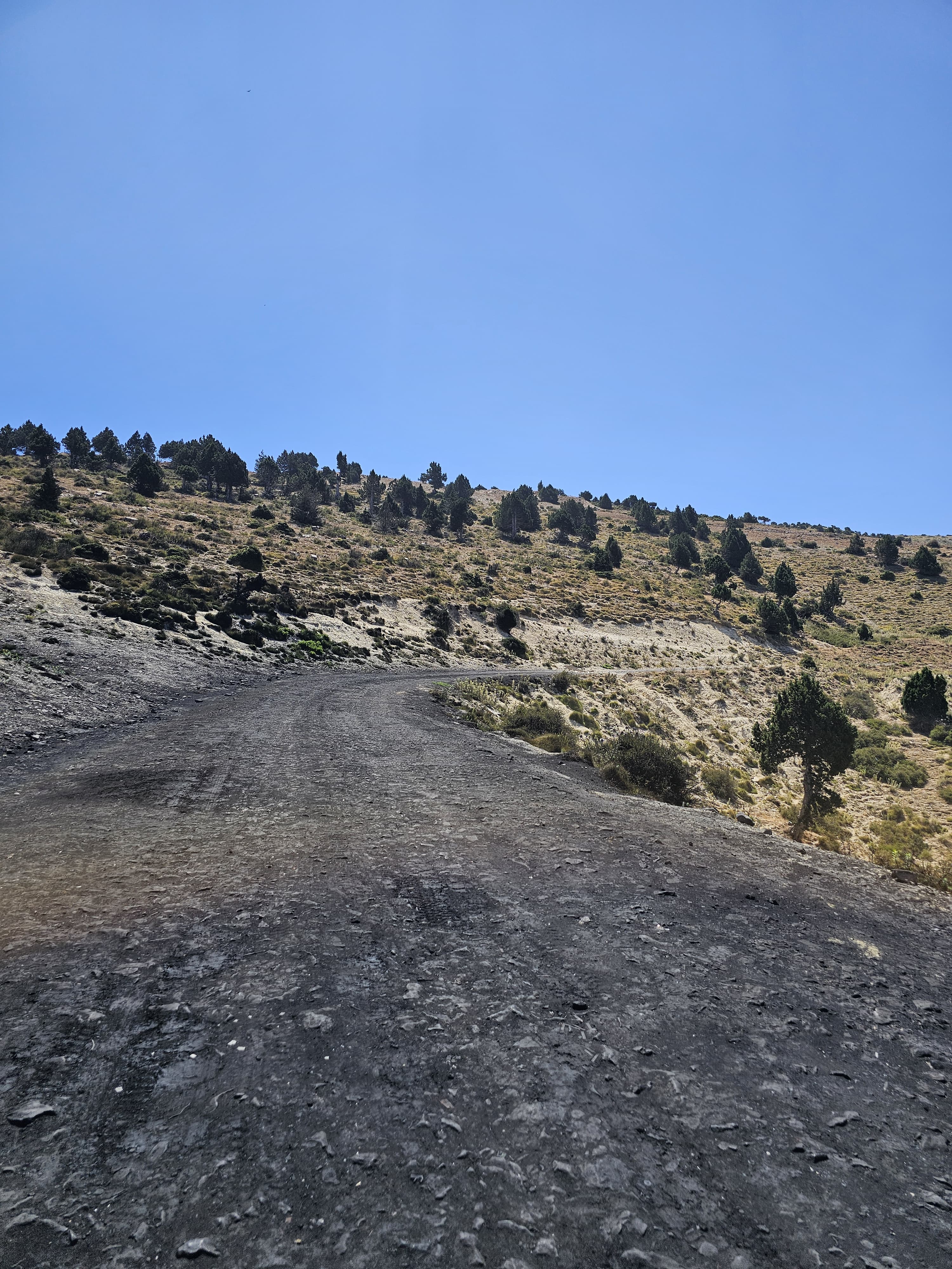 طريق الموت... الى الكسارات.