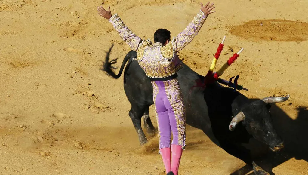 قذفه عالياً في الهواء... ثور يقتل مصارع ثيران في لشبونة (فيديو)
