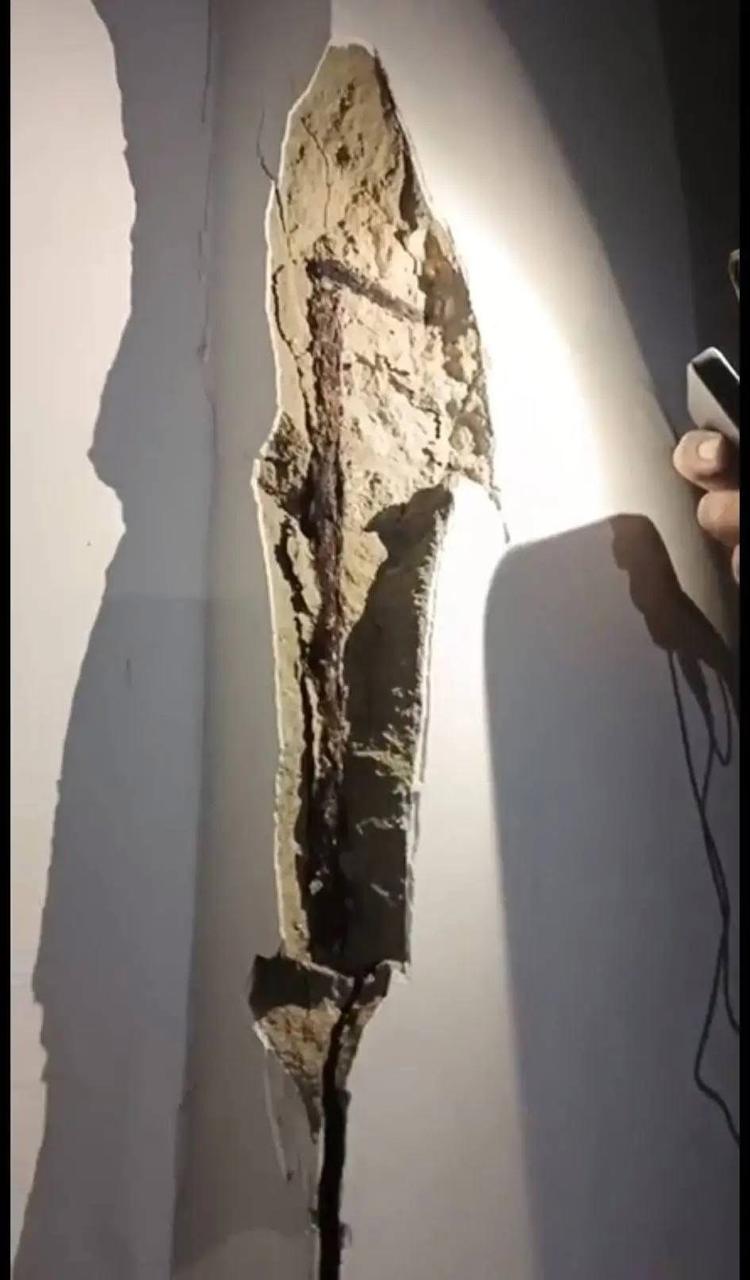 مبنى الريداني على أوتوستراد البداوي (إكس).