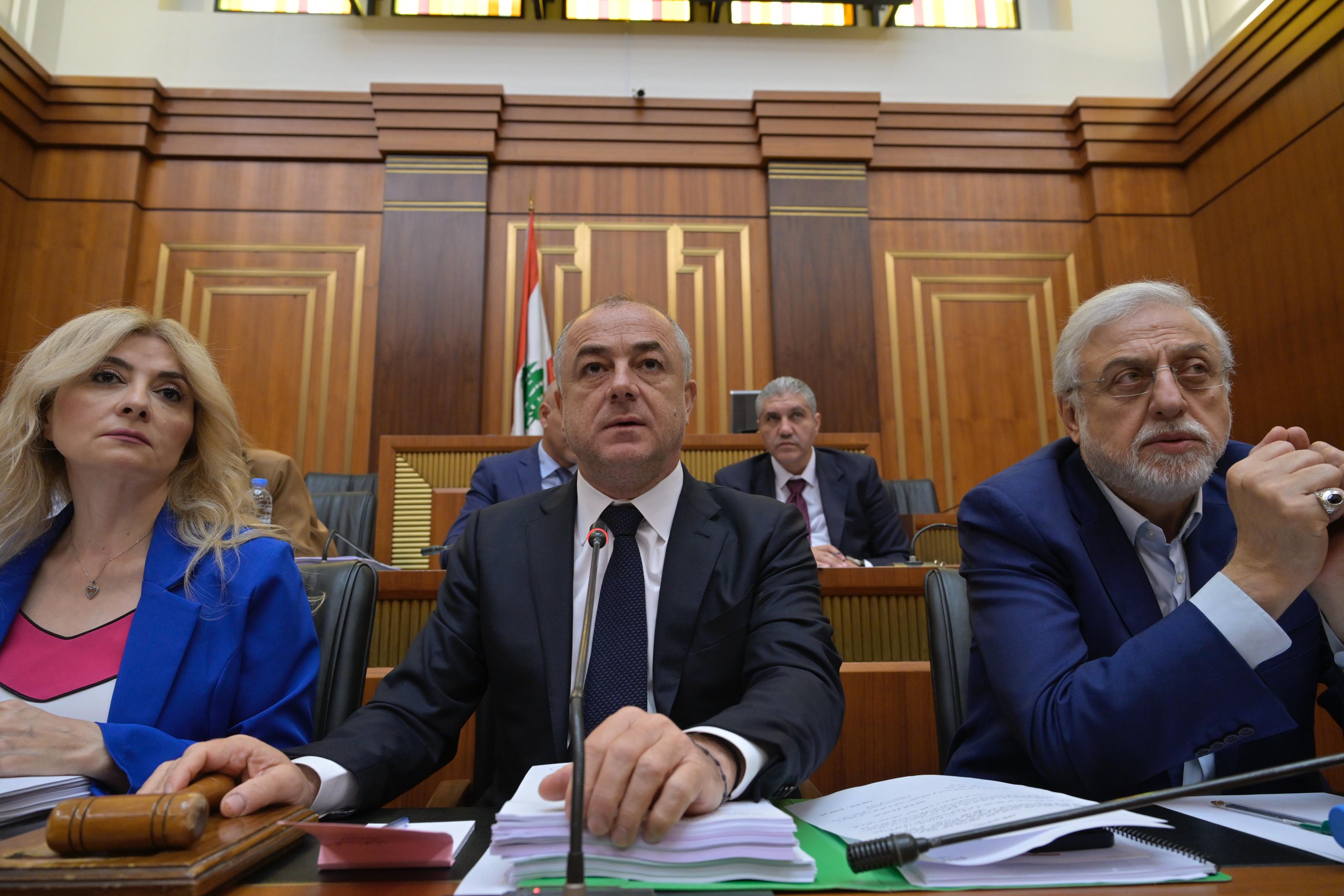 من جلسات اللجان (نبيل اسماعيل)