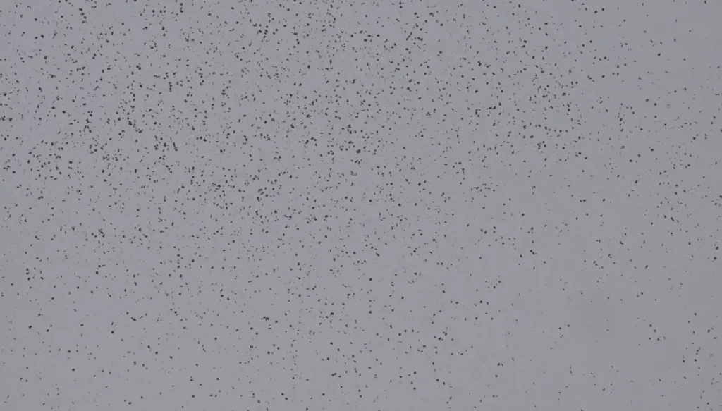 مناشير إسرائيلية "رقمية" في بيروت... إحذروا الـ QR Code