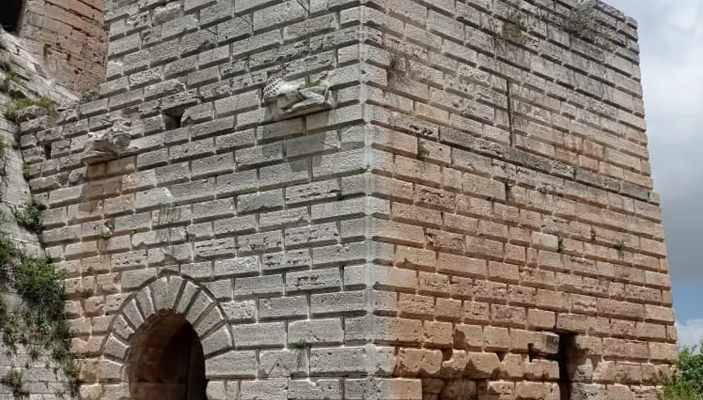 قلعة الحصن (لينا اسماعيل).