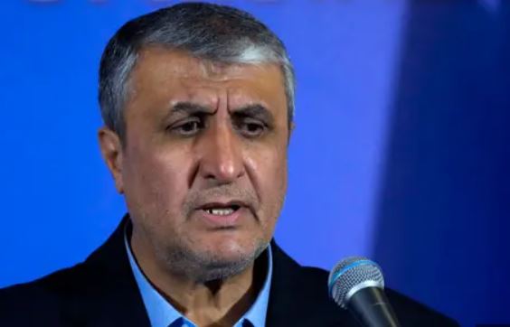  رئيس منظمة الطاقة الذرية الإيرانية محمد إسلامي (وكالات)