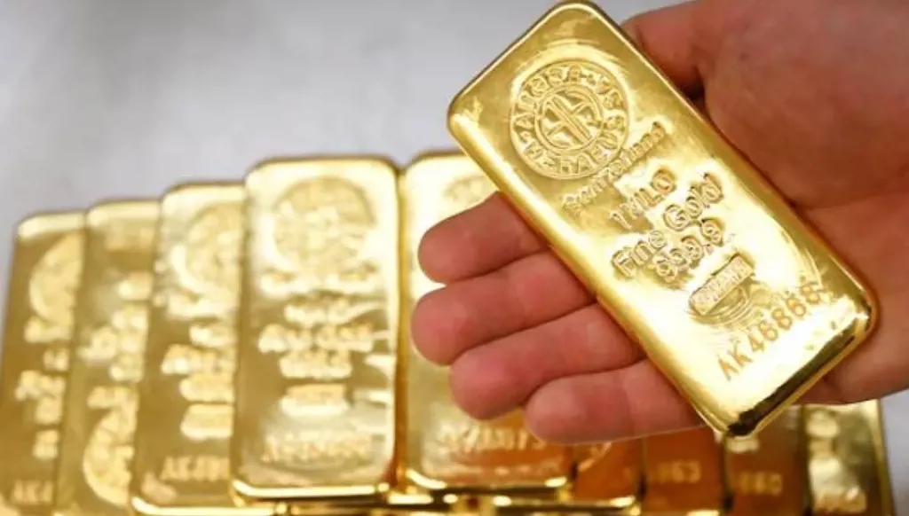 "بقيمة 700 ألف يورو"... فرنسي يعثر على سبائك ذهبية في حديقة منزله