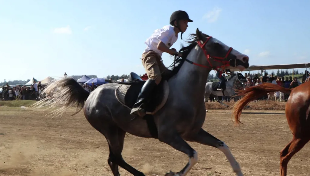 رياضة الفروسية تنتعش في الشمال... إرث يستقطب هواة ركوب الخيل والجمهور