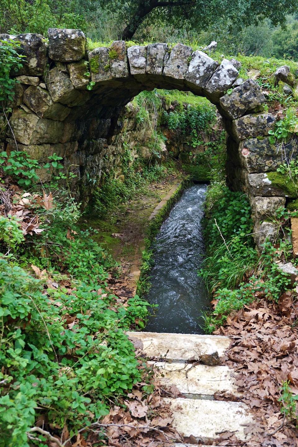 نهر الجوز (النهار)