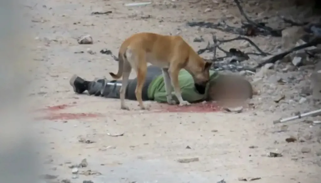 "هآرتس": سباق على القتل في غزة بلا ضوابط والجثث تترك للكلاب