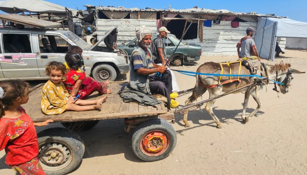 الجوع يقتل 18 غزّياً خلال 24 ساعة... إسرائيل تناقش إنزالاً جوياً للمساعدات مع دول إقليمية