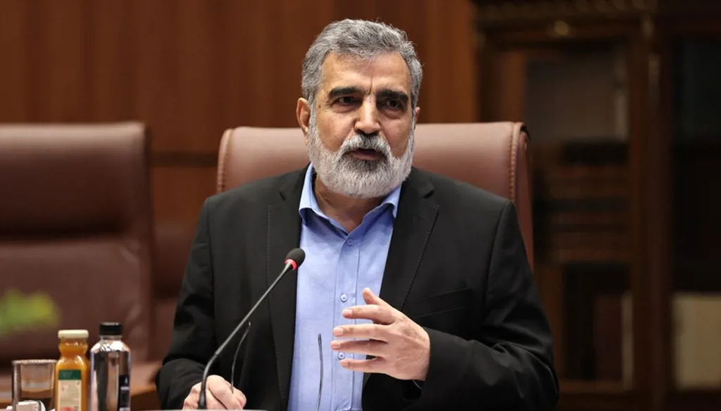 إيران تحذّر من تقليص التعاون مع الوكالة الدولية للطاقة الذرية