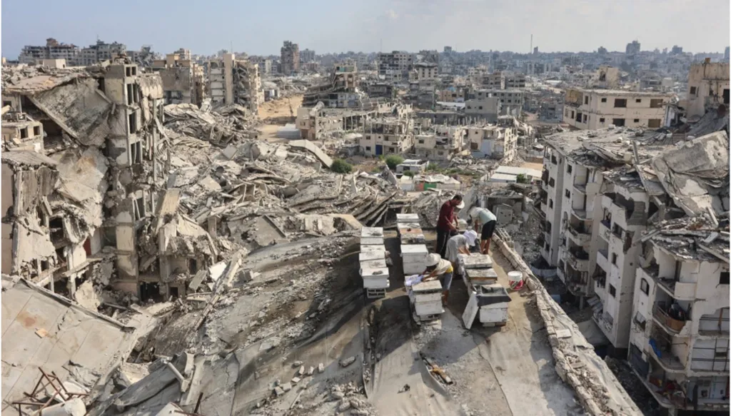 الأولى منذ أكثر من أسبوع... غارة إسرائيلية تقتل فلسطينياً في غزة