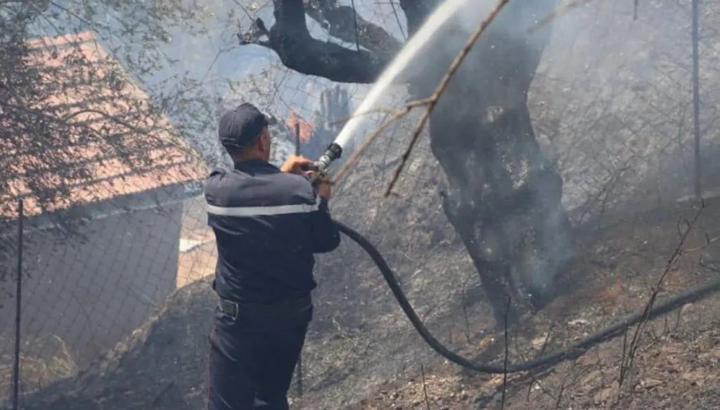 عمليات إجلاء في شرق الجزائر مع وصول حرائق غابات إلى مناطق سكنية