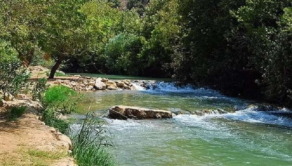 شركة تعلن عن رغبتها بتنفيذ مبادرة لتنظيف جزء من مجرى نهر الليطاني