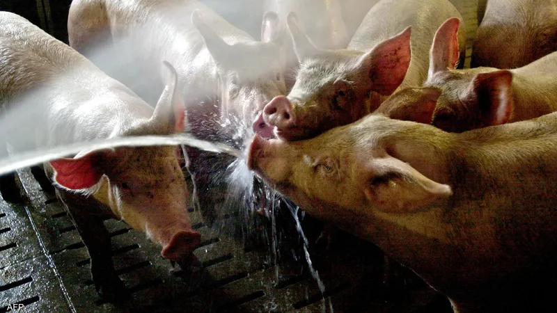 تعبيرية (مواقع)