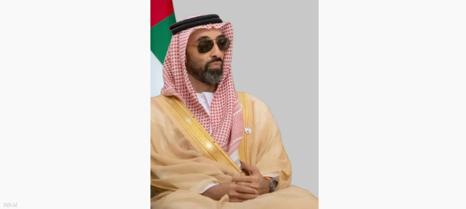 الشيخ طحنون بن زايد آل نهيان (وكالات)