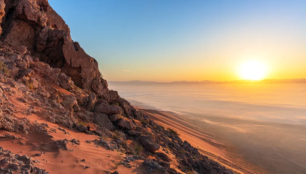 اليونسكو تُدرج موقع "الفاية" في الشارقة على قائمة التراث العالمي