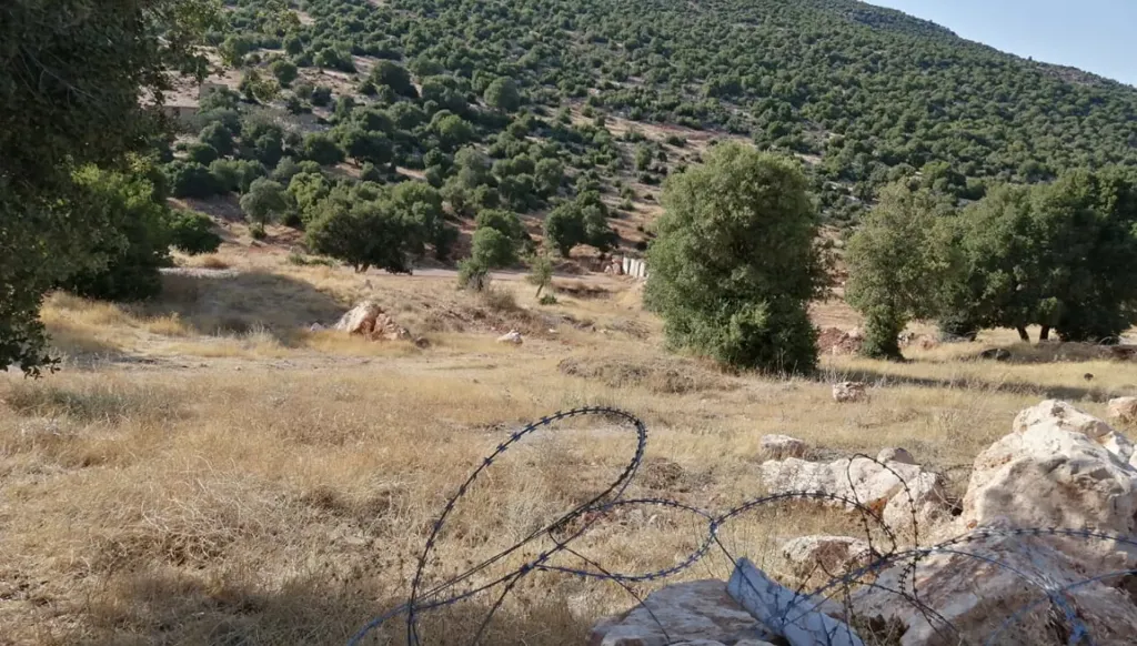 تسوية بين "هيئة تحرير الشام" وعشائر شيعية لبنانية في حوض العاصي