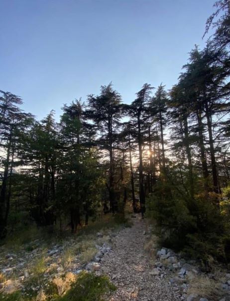 من تنورين (النهار)