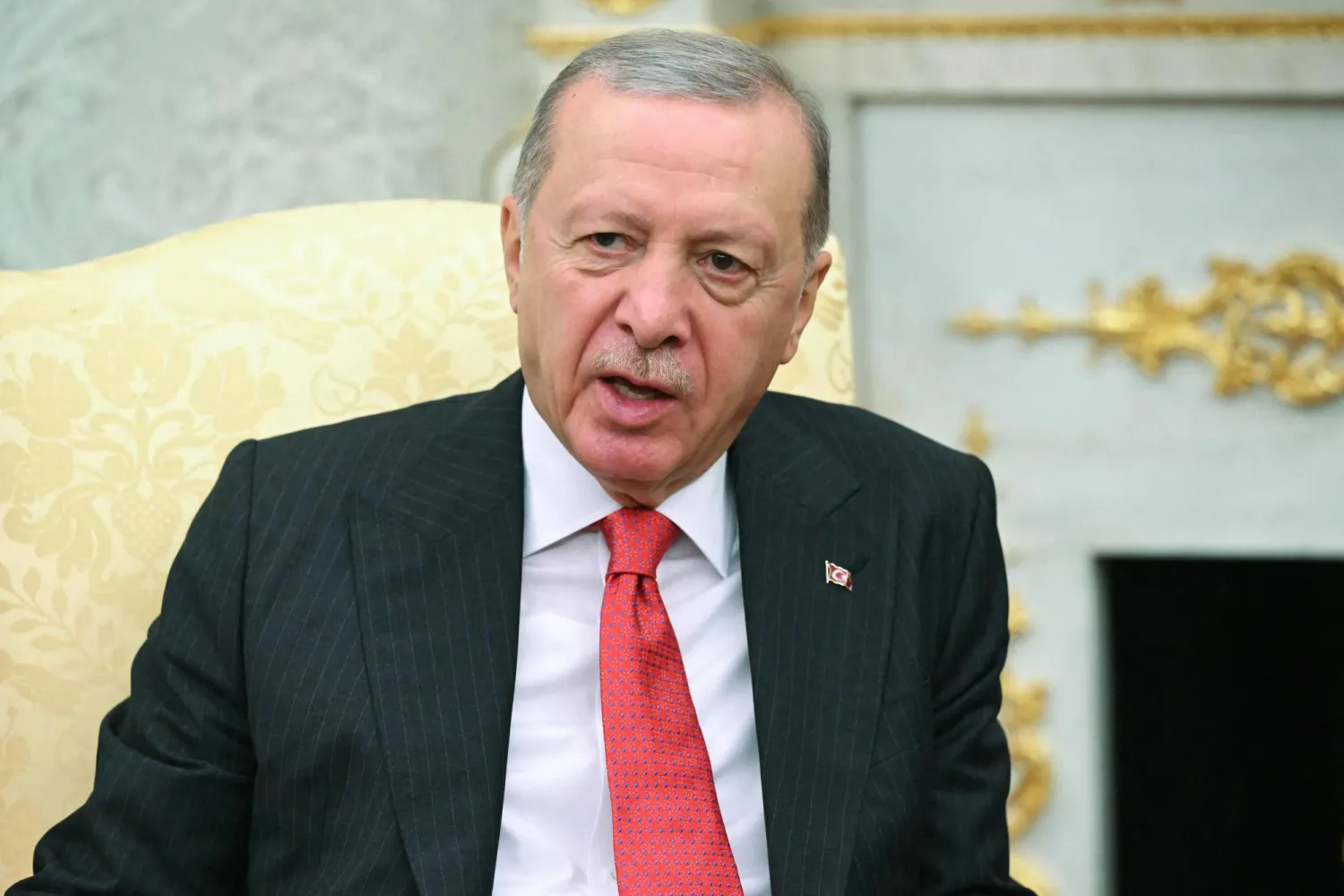 الرئيس التركي رجب طيب اردوغان. (أ ف ب)