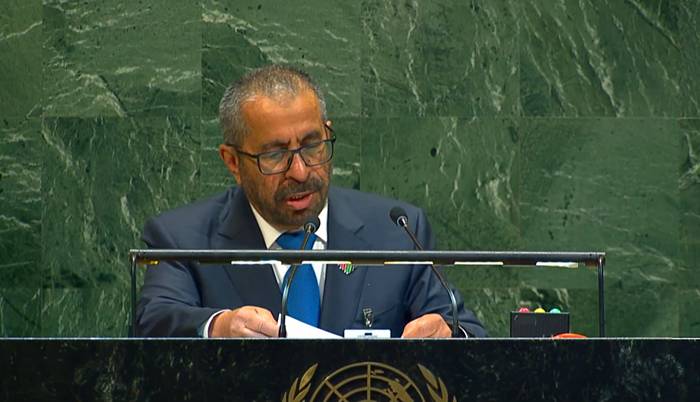 وزير الدولة الإماراتي للشؤون الخارجية خليفة شاهين المرر (الأمم المتحدة)