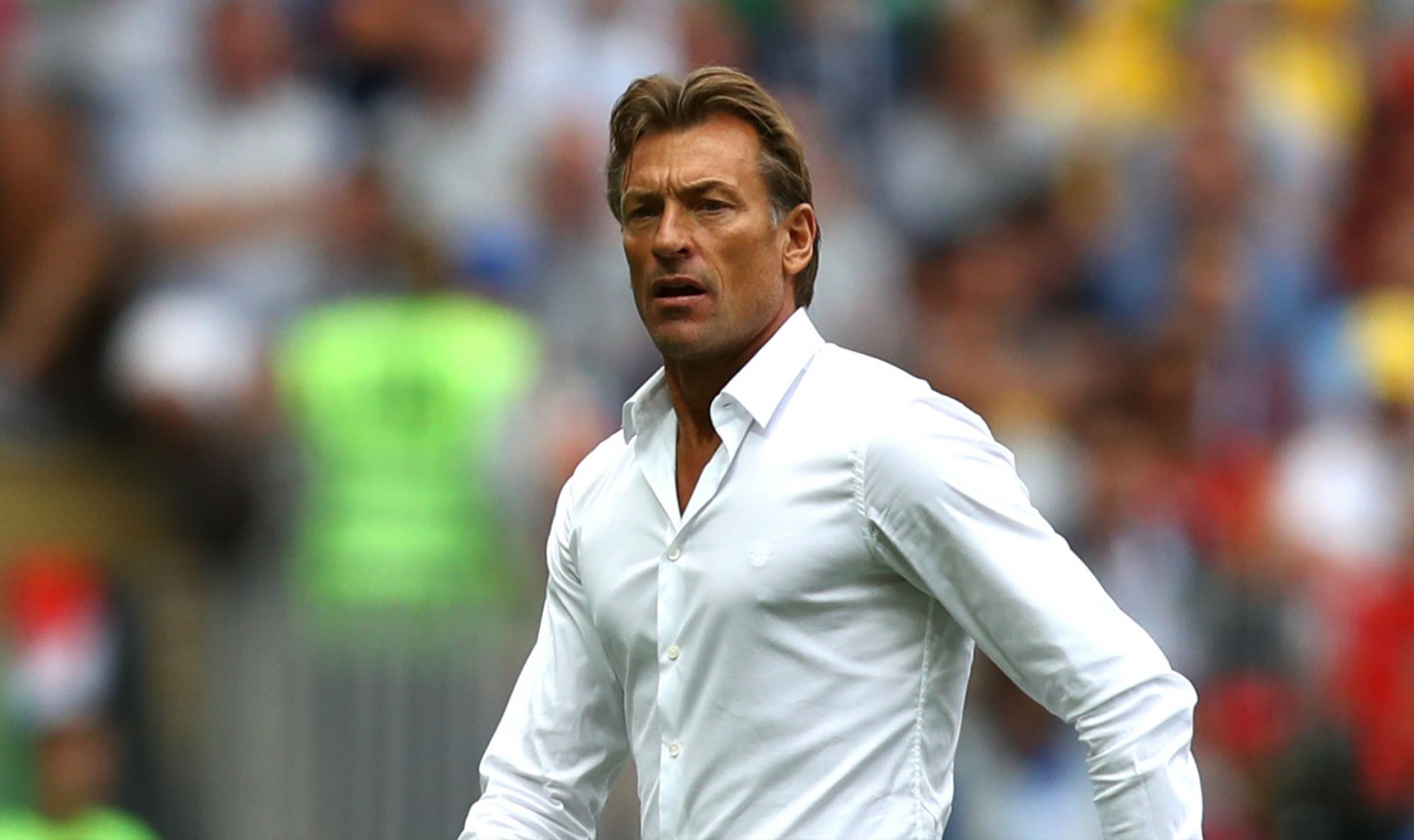 رينارد. (وكالات)