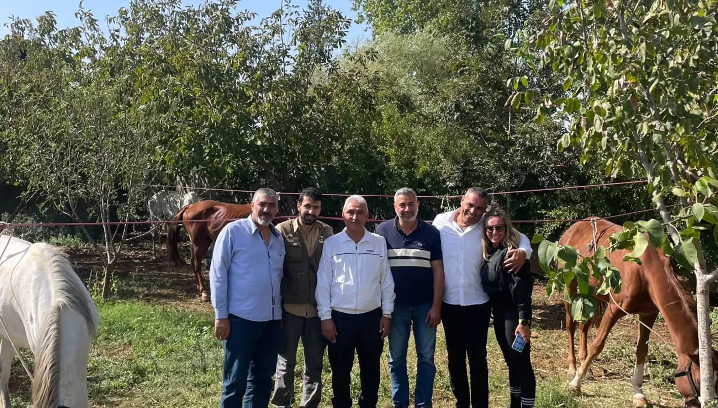 صورة الخبر