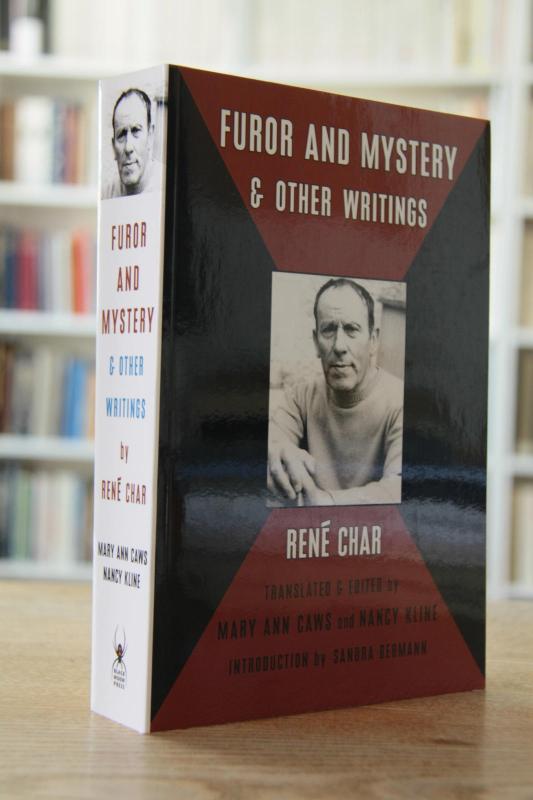 كتاب Furor and Mystery.