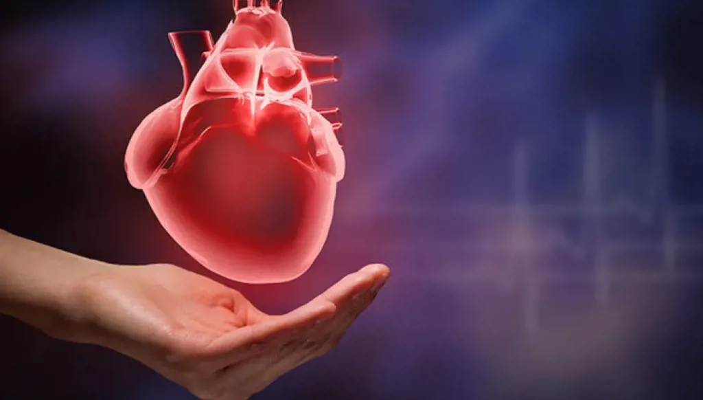 اليابان تجري أول عملية عالمية بخلايا جذعية لعضلة القلب