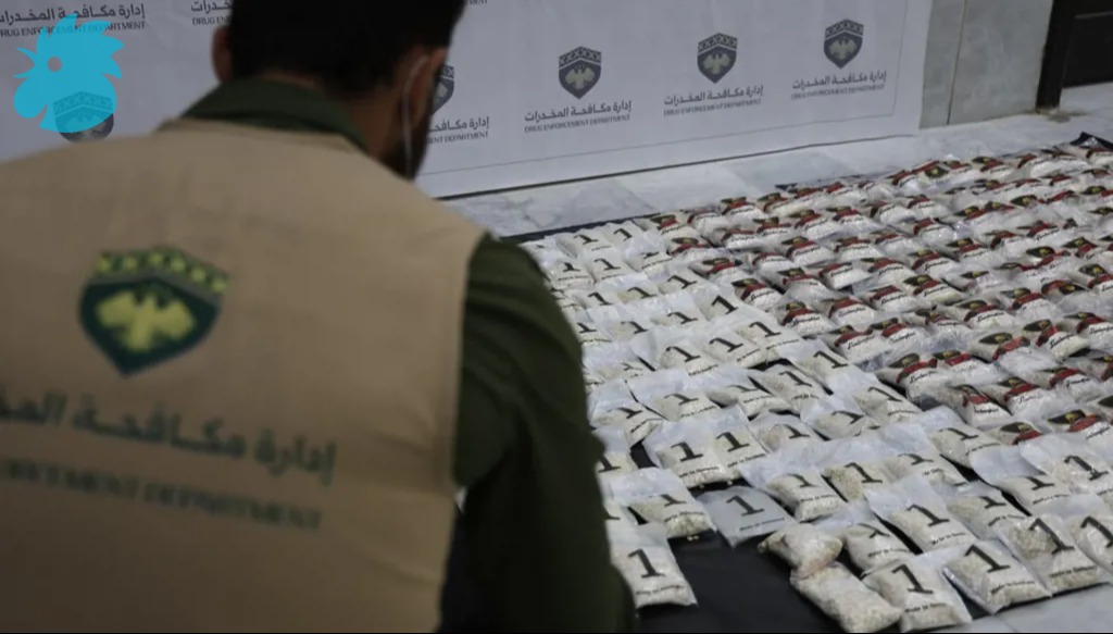 صورة للمضبوطات (النهار).