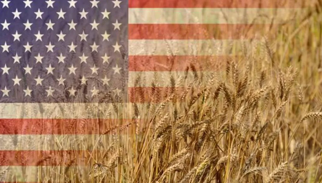 ارتفاع العقود الآجلة للقمح الأميركي وسط مخاوف من الأحوال الجوية
