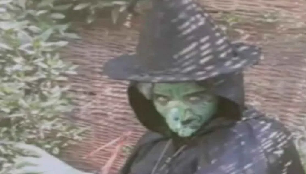 "ساحرة" تثير الذعر في مصر… والداخلية تكشف ملابسات الواقعة