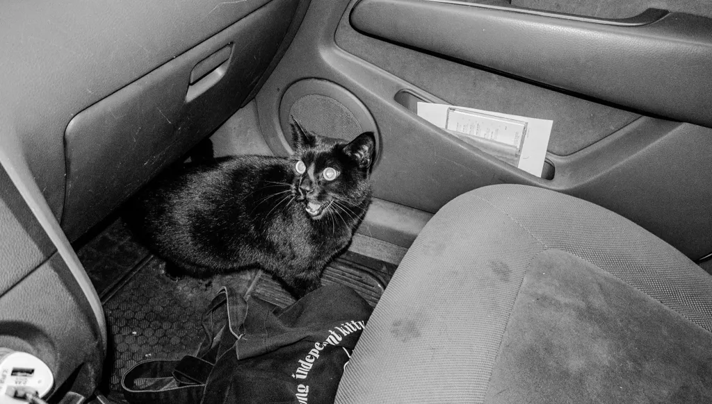 دوفيل تحتفي بالحميمية عبر عدسة الصورة الفوتوغرافية