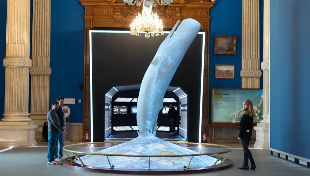 من سينقذ المتوسط؟ الجواب عند أمير موناكو