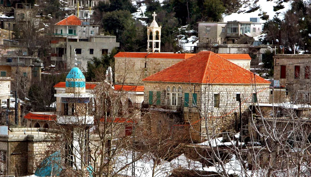 جنوب لبنان على طوابع فنان (2 من 2)