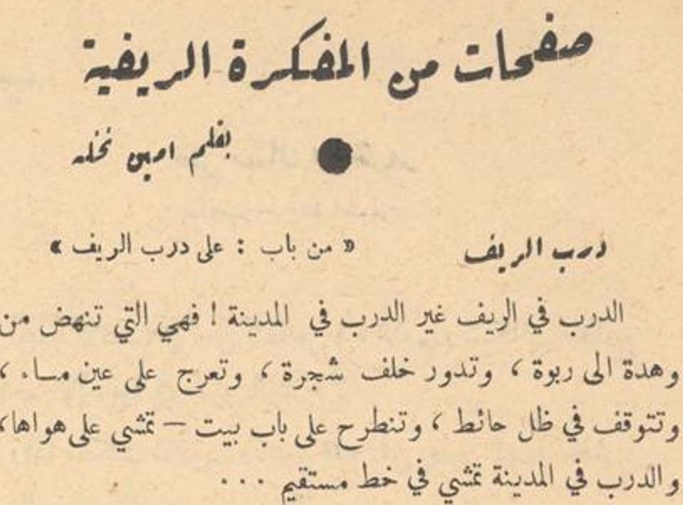 أَمين نخلة: لم يدَّعِ نثرَ “المفكرة الريفية“ شعرًا