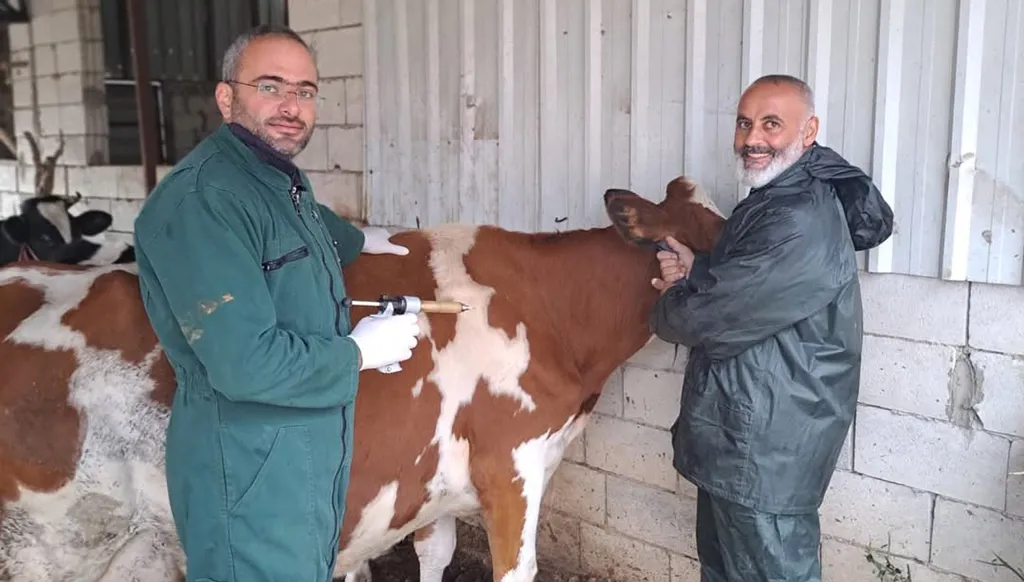 التفاتة إلى مزارعي الألبان الصغار في عكار: تدريب وتوزيع أعلاف