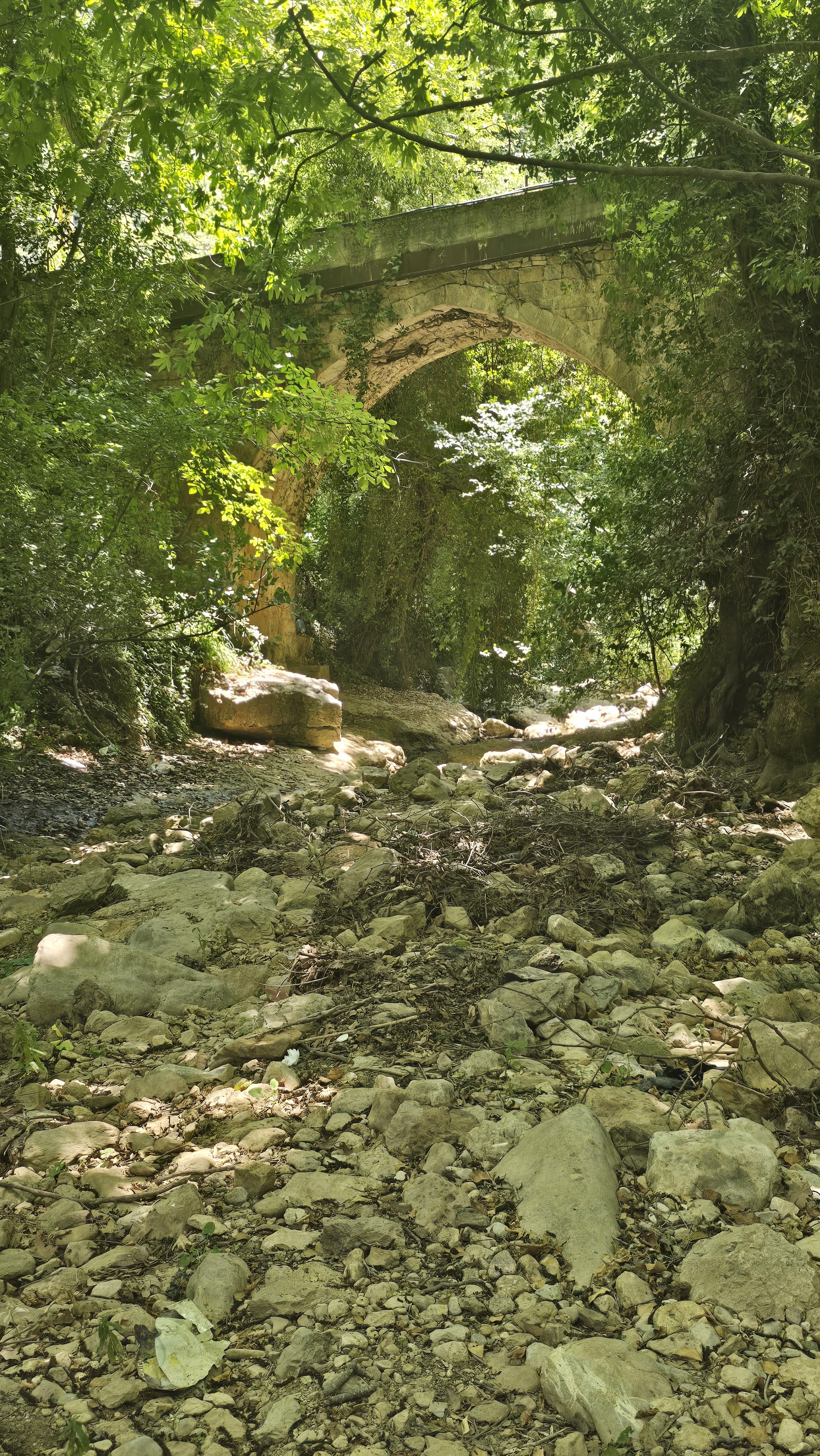 مجرى نهر الأولي (النهار).