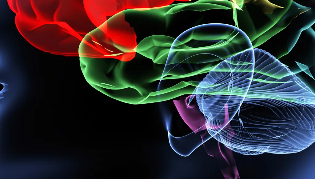 الذاكرة مفتاح التحكم في الوزن