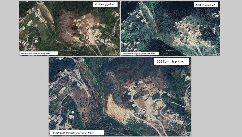 90,944 متراً مربعاً  من الأراضي الحرجية المحروقة تحوّلت عمراناً خلال خمس سنوات وغياب تطبيق القانون يشرّع التعديات