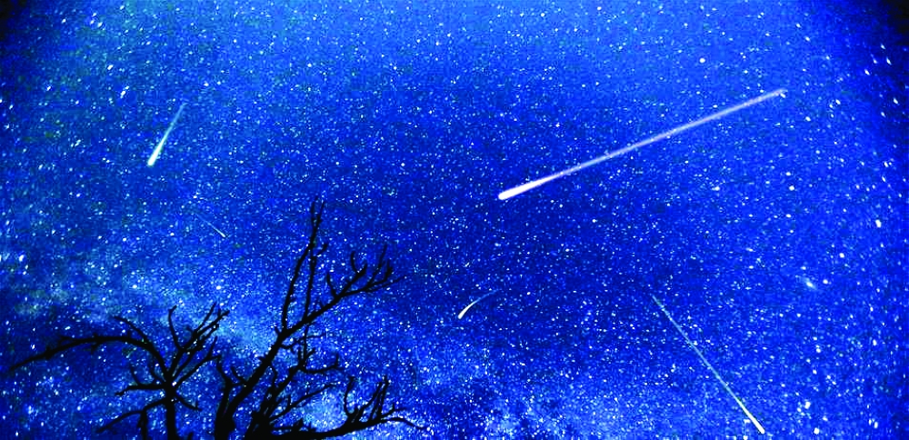 شهب التوأميات. (تعبيرية)