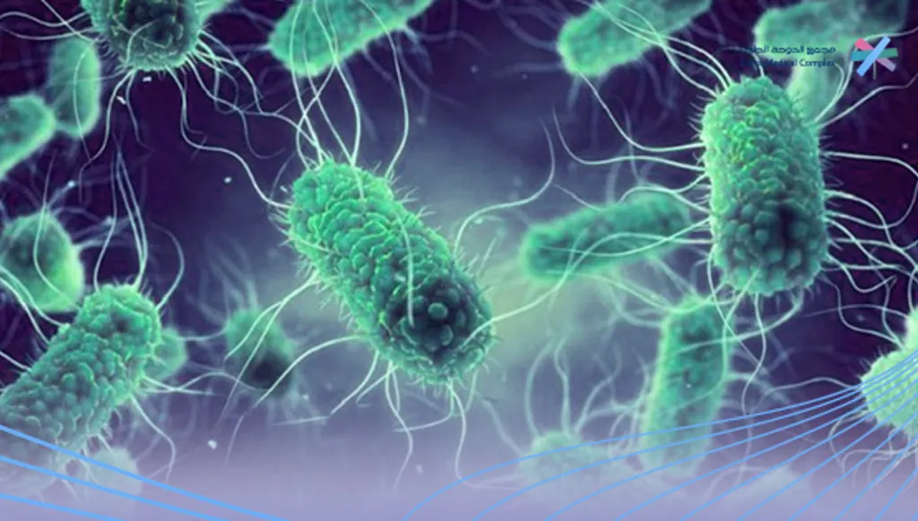 هل يمكن لبديل المضادات الحيوية القضاء على السالمونيلا الملوثة للأغذية؟