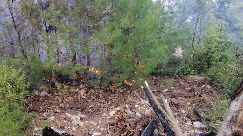 طوافات الجيش في سماء الضنية ومؤازرة على الأرض... وياسين لـ"النهار": نحقق ما اذا كان الحريق مفتعلا (فيديو وصور)