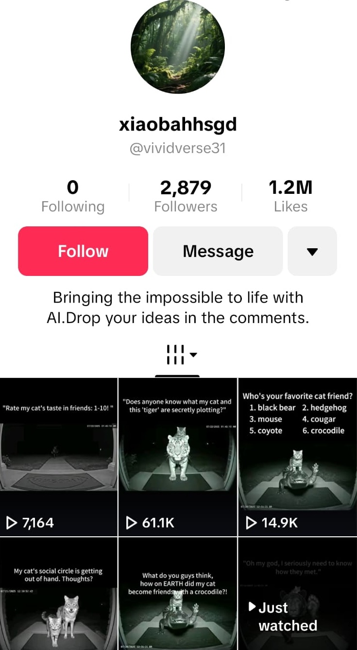 تعريف سابق بالحساب في تيك توك