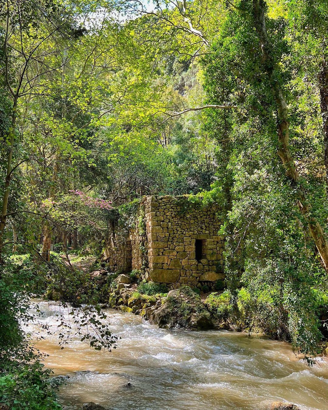 السياحة الداخلية في لبنان... إليكم برامج جولات غنيّة وأسعارها