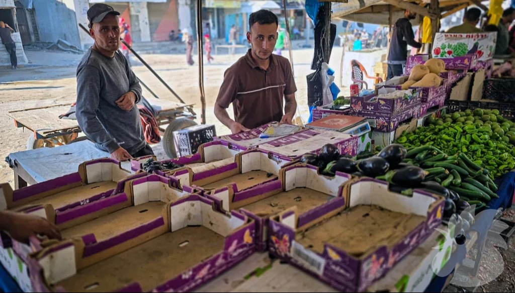 بائعان وسط صناديق خضار شبه فارغة في أحد أسواق خان يونس جنوب قطاع غزة، 21 تشرين الأول/أكتوبر 2026. (النهار)           Convert to PDF