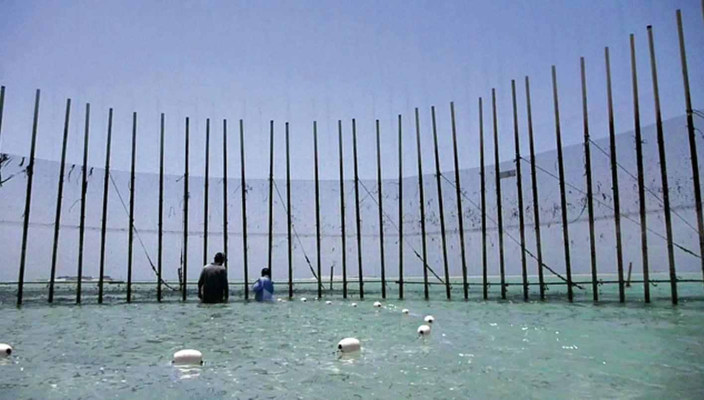 Abu Dhabi prolonge la saison de pêche traditionnelle de la