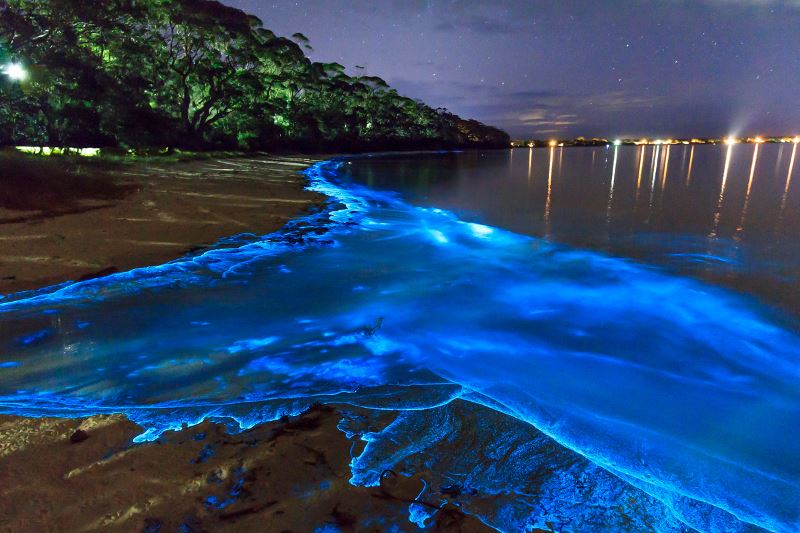 10 صور تبرز قدرة الطبيعة على إدهاشنا!