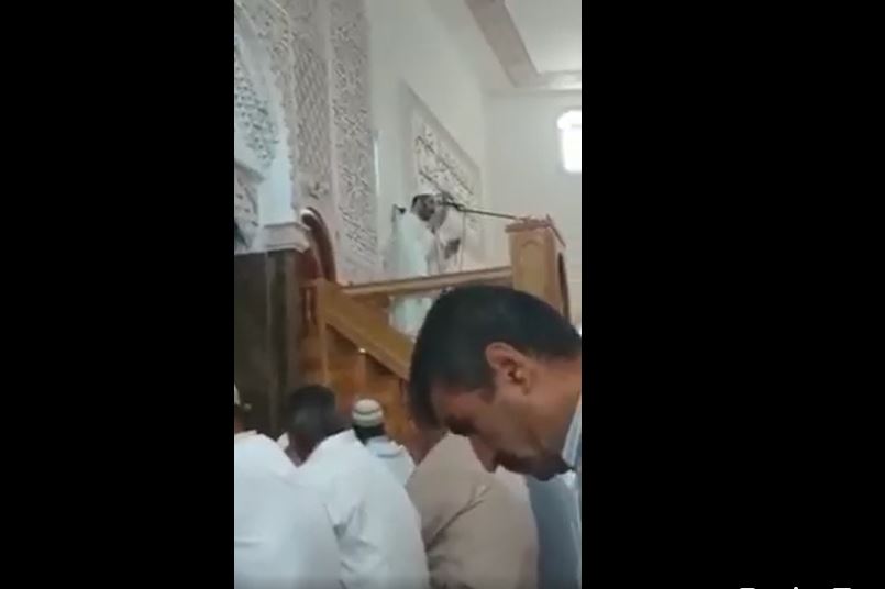 "إمام توفي على المنبر خلال خطبة الجمعة"؟ إليكم الحقيقة FactCheck#