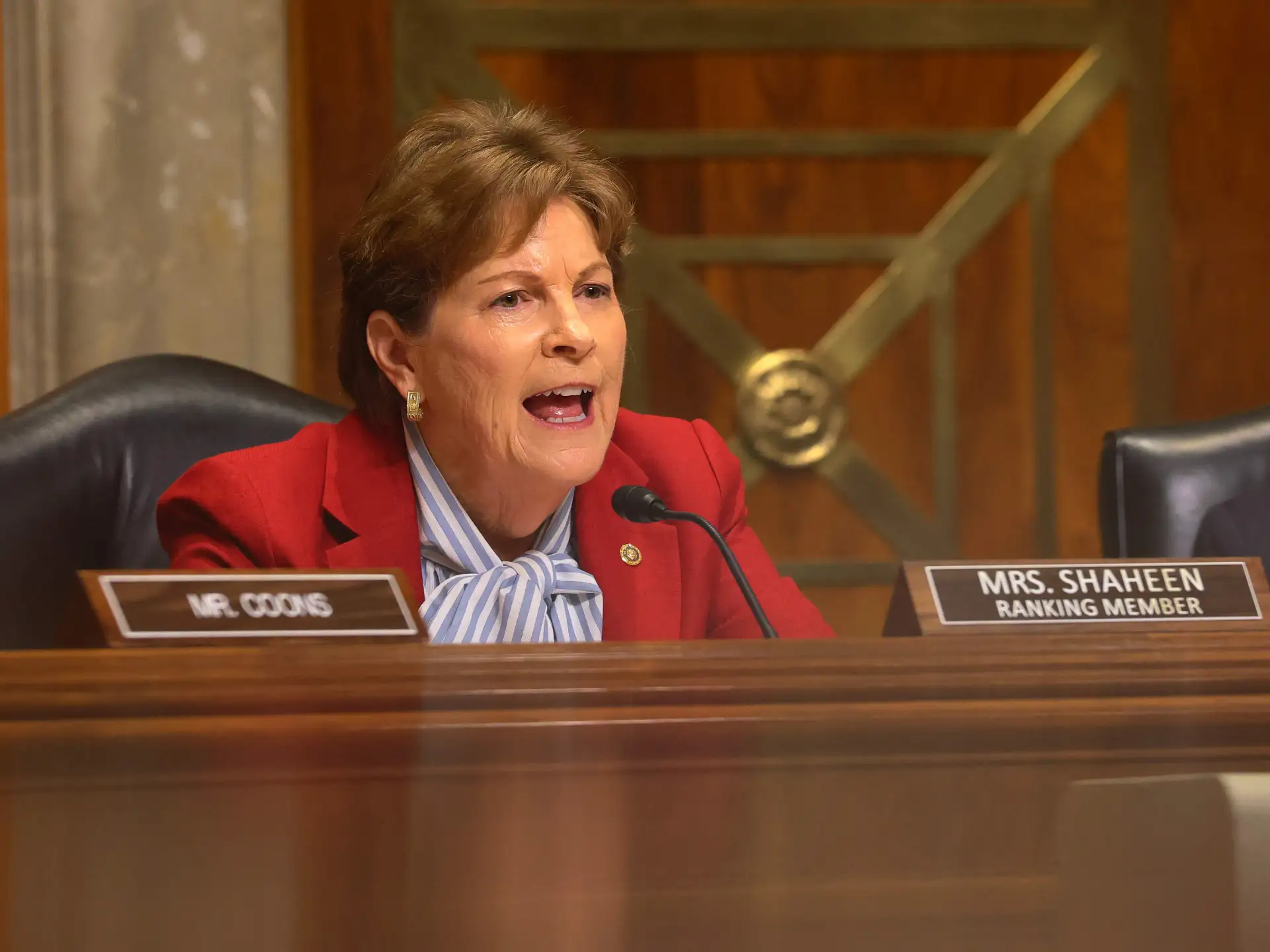 جين شاهين (أرشيفية)